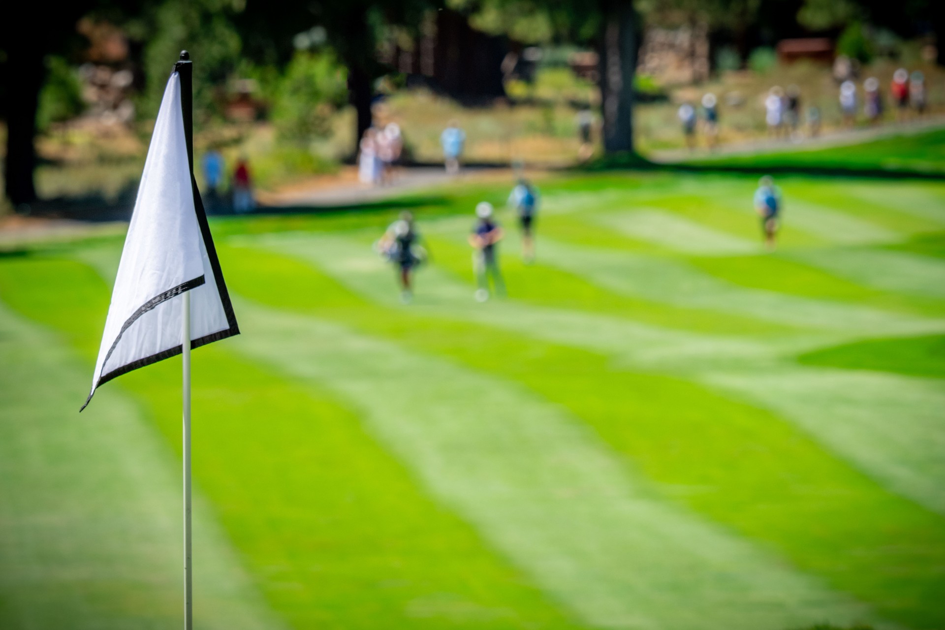 Golf Flag on a Fairway.